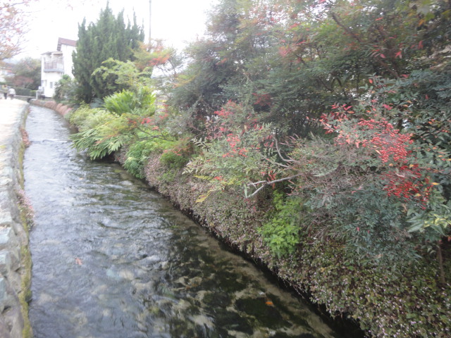 f0231709_15475977.jpg