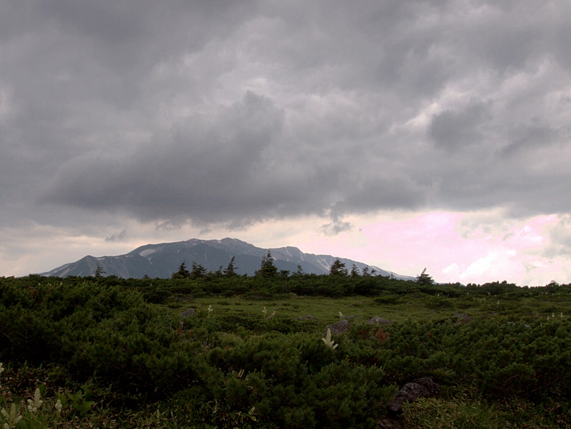 b0244811_21294146.jpg