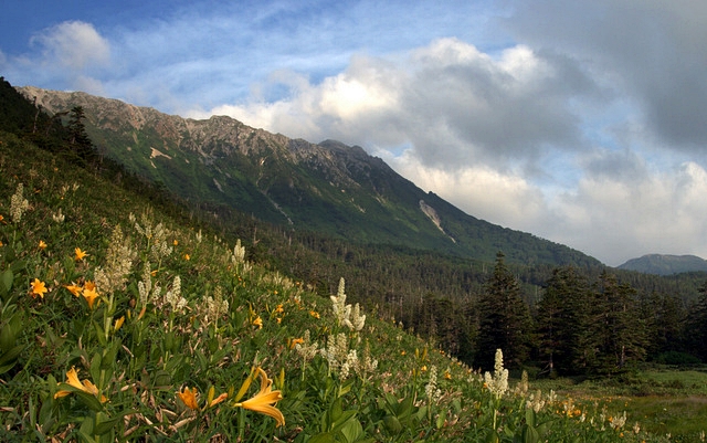 b0244811_22524194.jpg