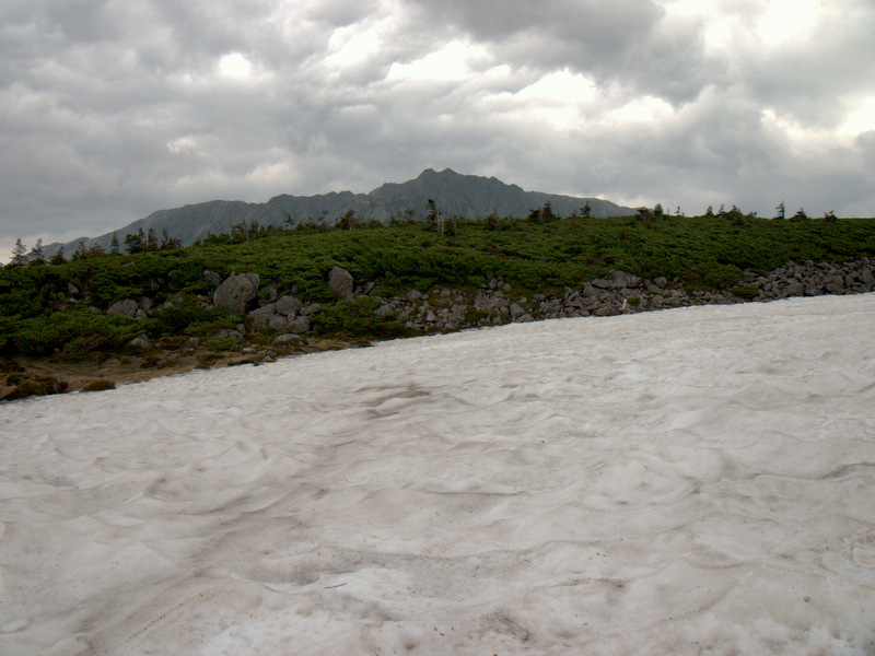 b0244811_22542149.jpg