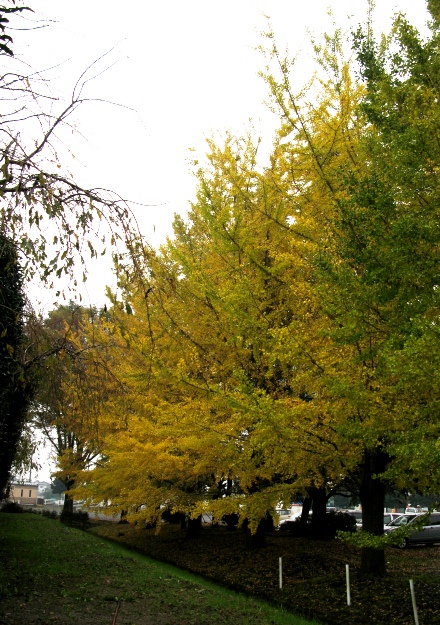 e0106712_2181024.jpg