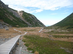 c0041316_1664633.jpg