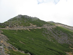 c0041316_1675777.jpg