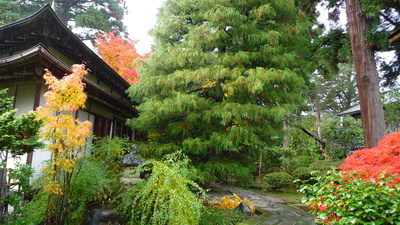 e0135219_1030141.jpg