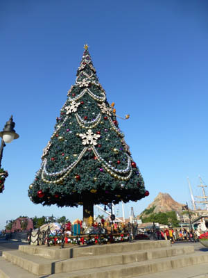 c0227720_22503965.jpg