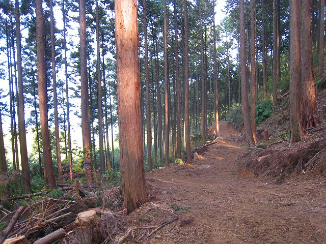 e0002820_1171231.jpg