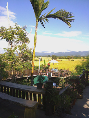 e0268325_12164731.jpg