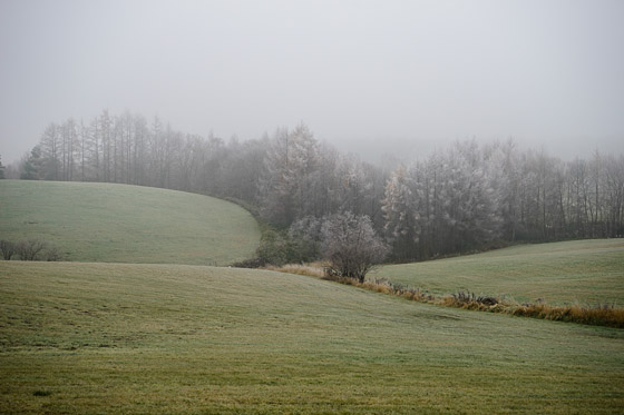 e0025030_965426.jpg