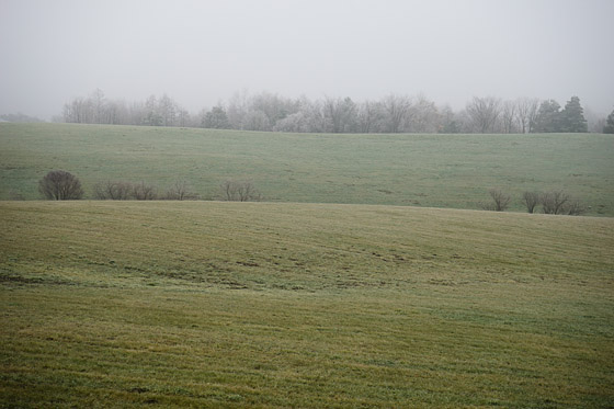 e0025030_965729.jpg