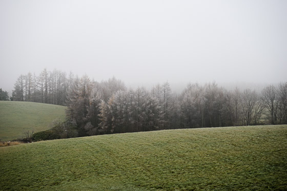 e0025030_970100.jpg