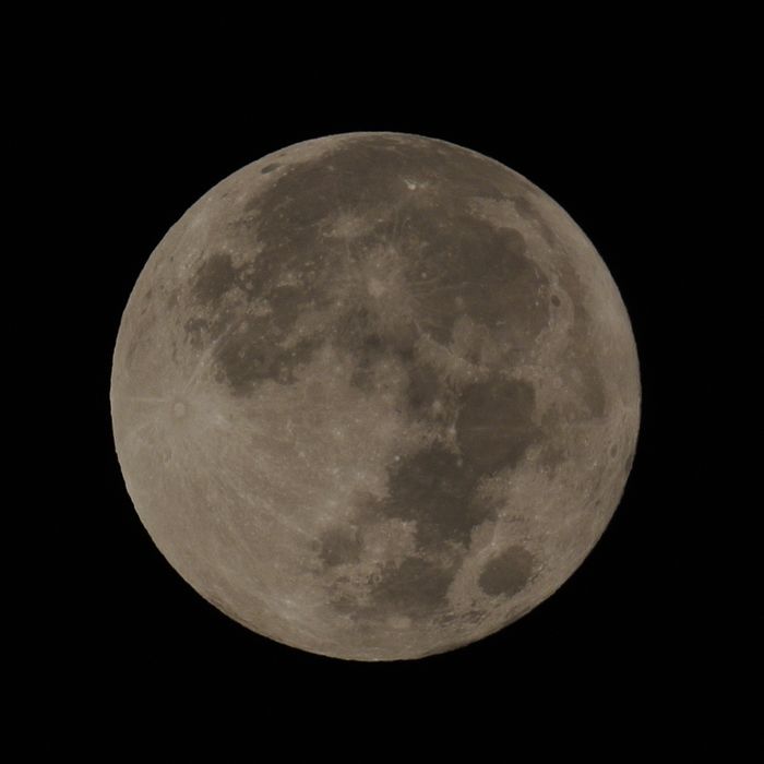 e0089232_531992.jpg