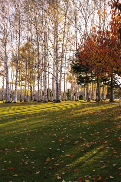 f0217933_9373650.jpg