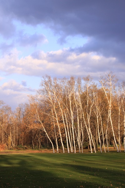 f0217933_937861.jpg