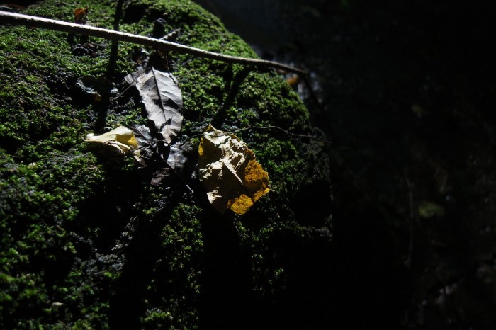 c0164234_1118167.jpg