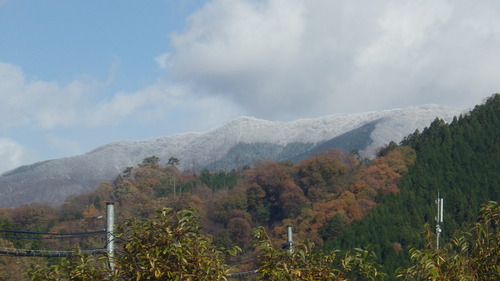 c0300035_21521168.jpg