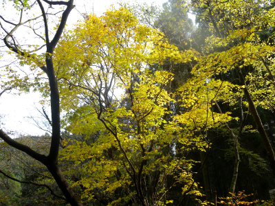 e0272335_1055962.jpg