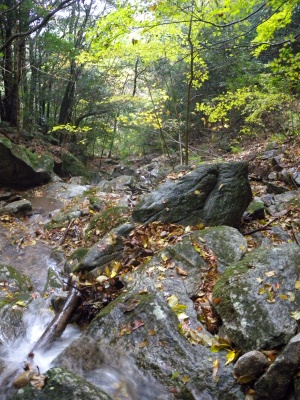e0272335_528534.jpg