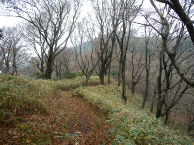 e0272335_8271632.jpg