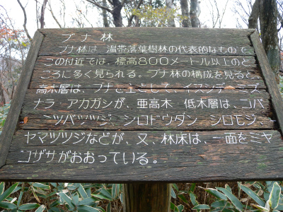 e0272335_8341212.jpg