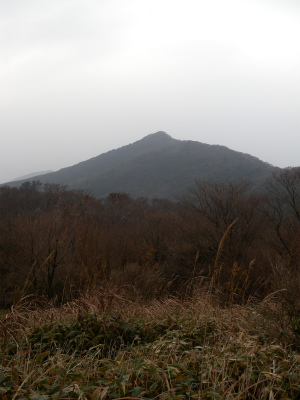 e0272335_8441531.jpg