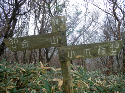 e0272335_8464061.jpg
