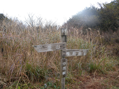 e0272335_934511.jpg