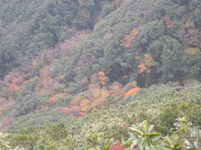 e0272335_9411522.jpg
