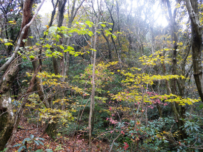 e0272335_9441579.jpg