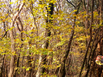 e0272335_950051.jpg