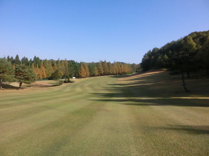 c0117936_1931472.jpg