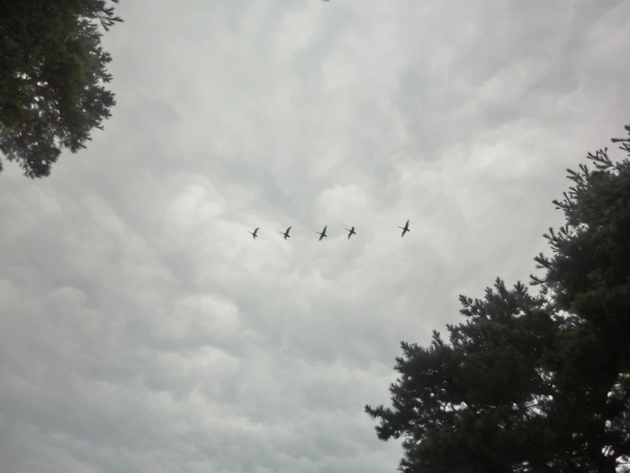 c0117936_1933760.jpg