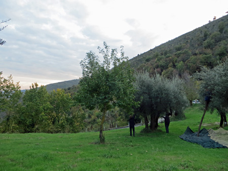 f0234936_704282.jpg