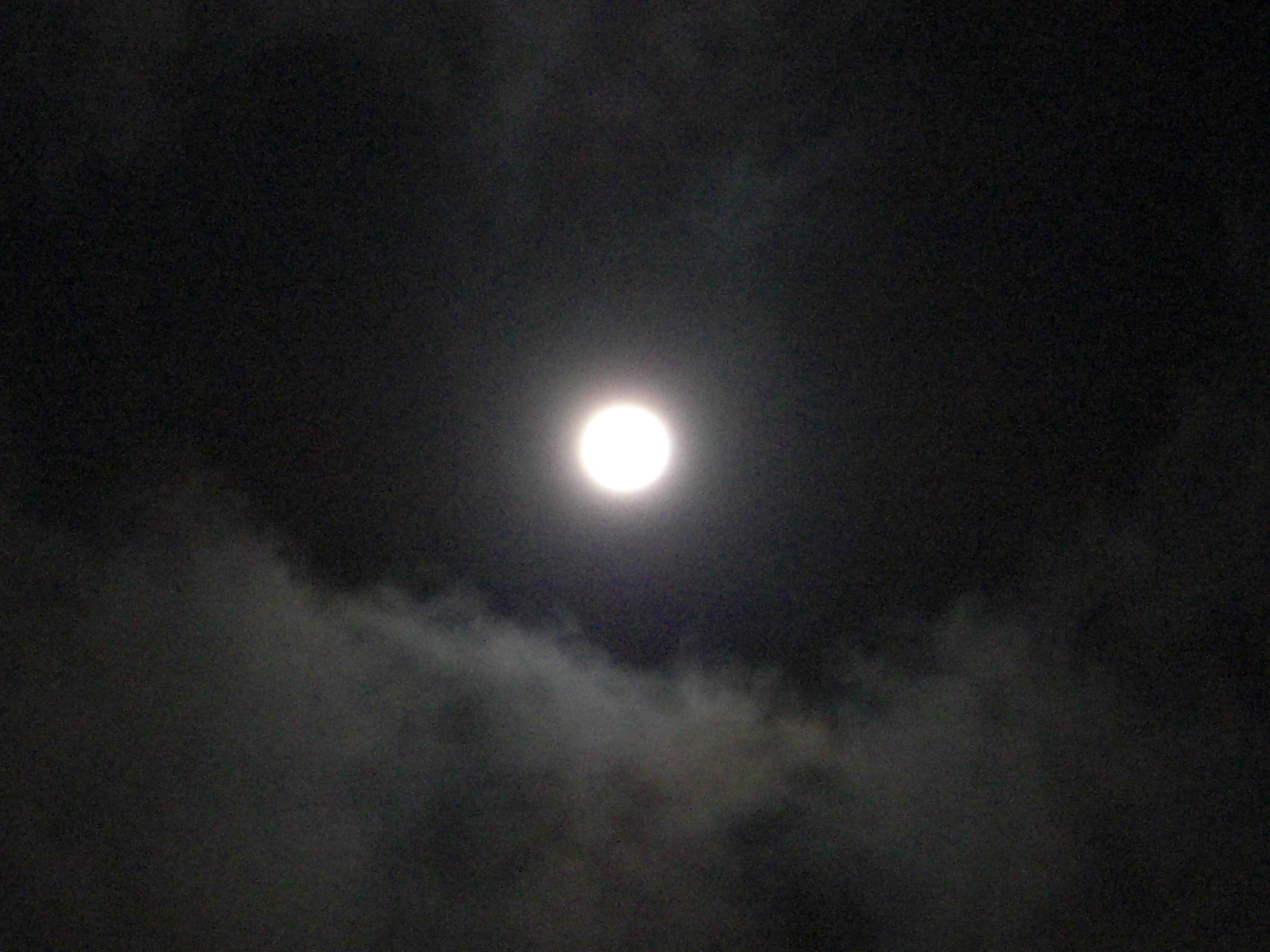 a0163738_0352483.jpg