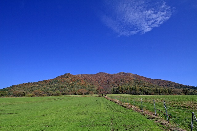 a0242438_21303871.jpg