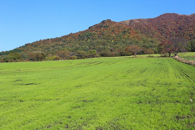 a0242438_21304310.jpg