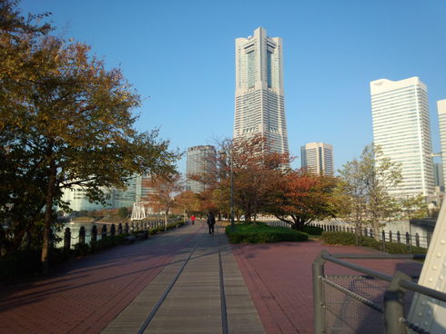 b0135438_23283296.jpg