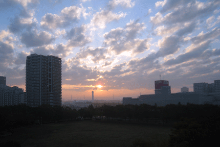 c0068639_22244055.gif