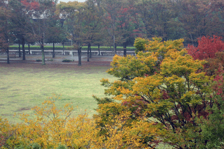 c0068639_22275522.gif