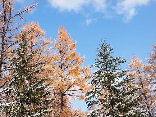 e0022839_2313543.jpg