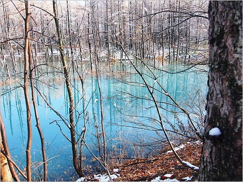e0022839_23154178.jpg