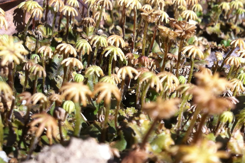e0252746_044484.jpg