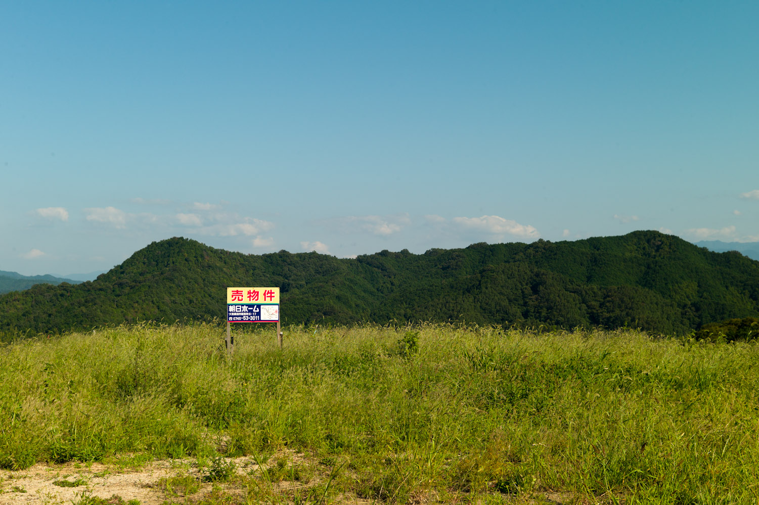 f0139146_00264118.jpg