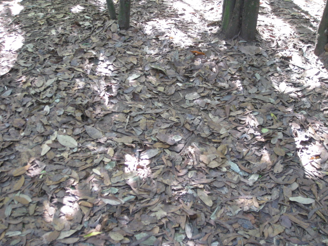 c0139253_23301415.jpg