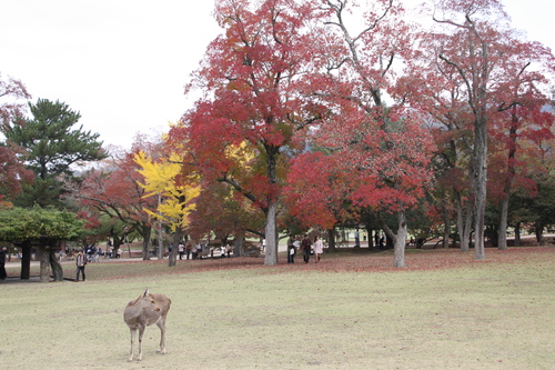 f0233356_7244862.jpg