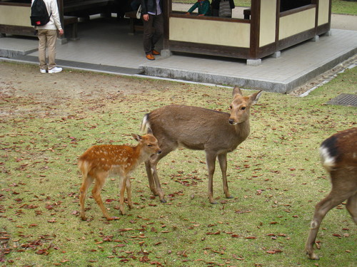 f0233356_728138.jpg