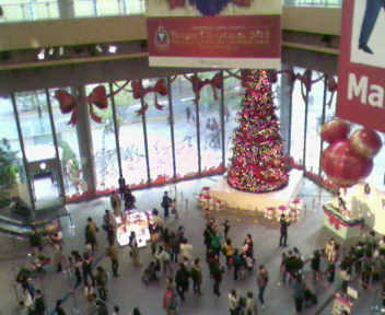 b0105259_1021233.jpg