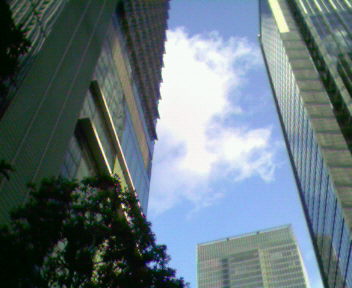 b0105259_10223759.jpg