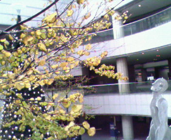 b0105259_9554619.jpg