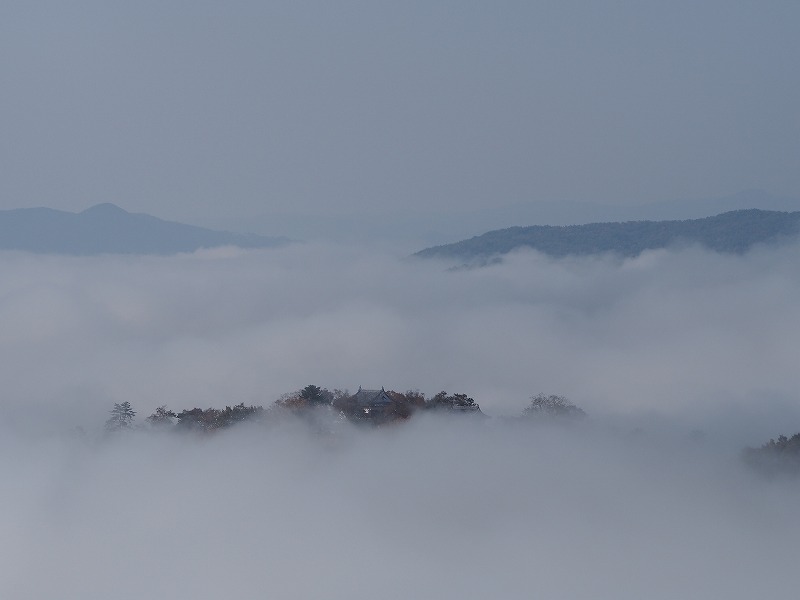 d0128465_17435931.jpg