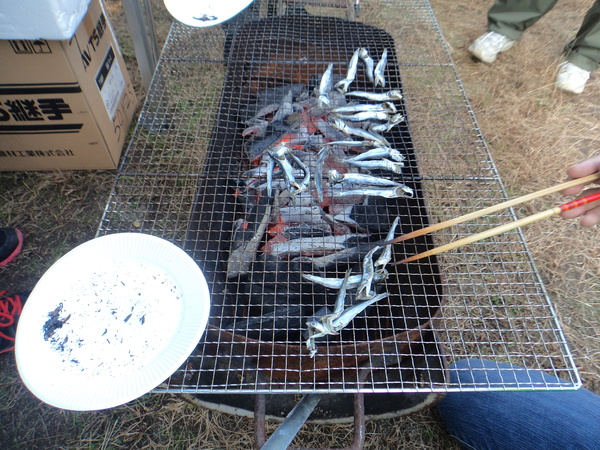 a0112066_8584850.jpg